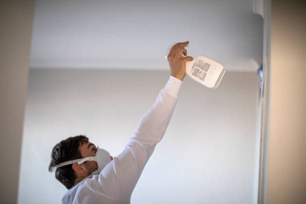 Best Mold Testing and Inspection Services in Lake Of The Woods, AZ